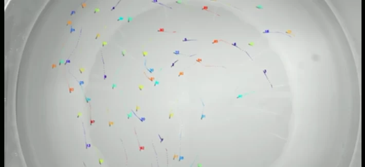 Πώς η τεχνητή νοημοσύνη θα σας ξεχωρίζει ανάμεσα στα πλήθη χωρίς αναγνώριση προσώπου – Δείτε το βίντεο